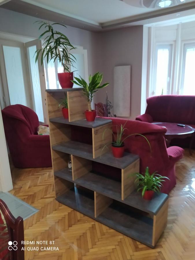 Szechenyi Apartman Daire Miskolc Dış mekan fotoğraf